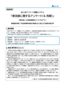 6月景況感・結果レポートのサムネイル